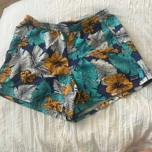 PATAGONIA BARELY BAGGIES